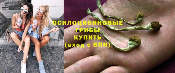 метамфетамин Алексеевка